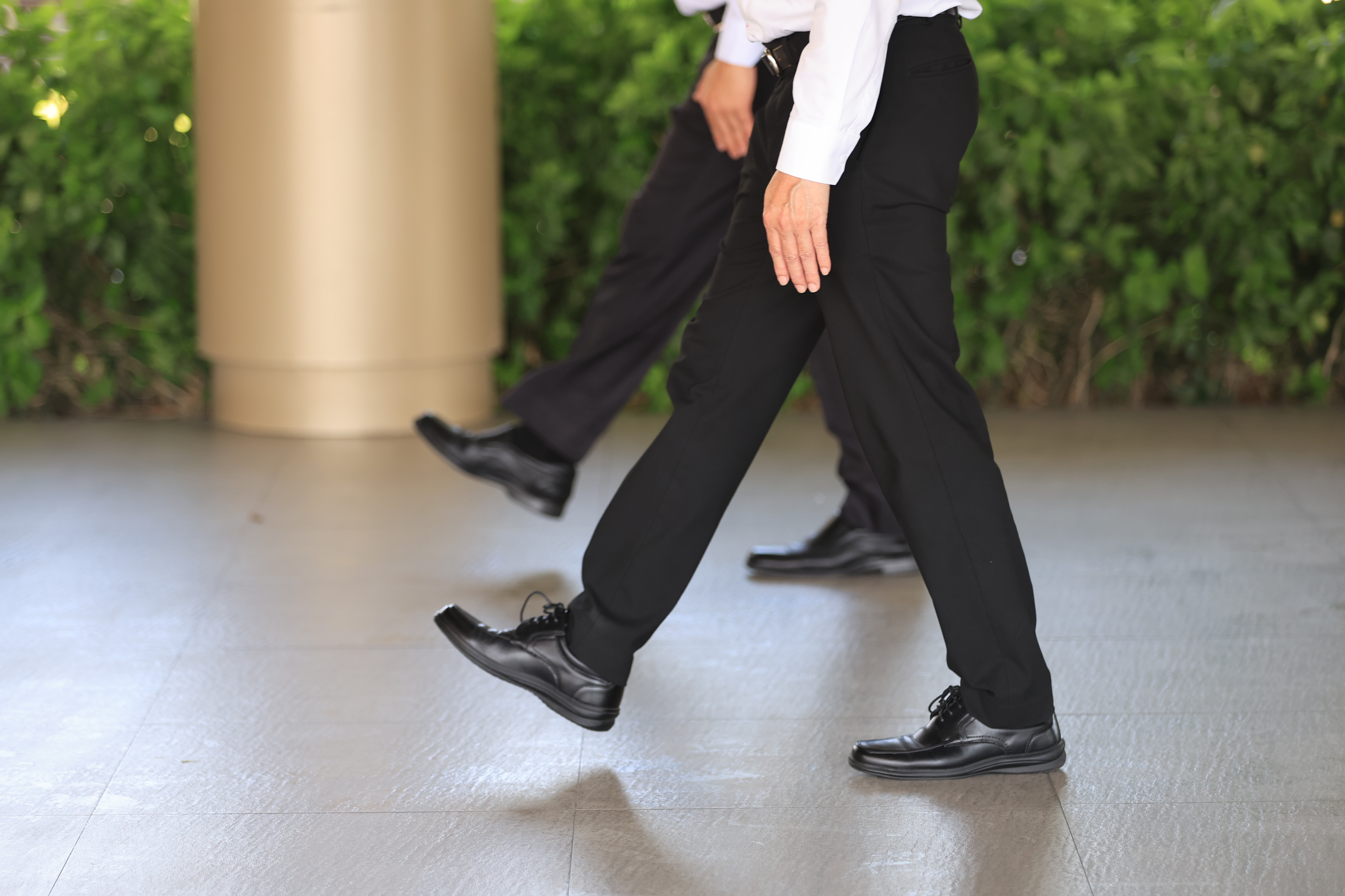 title - ส.ป.ก. ร่วมฝึกซ้อมริ้วขบวนอิสริยยศ ในพระราชพิธีพืชมงคลจรดพระนังคัลแรกนาขวัญ ประจำปี 2569 (ซ้อมกรณีพิเศษ ครั้งที่ 2)